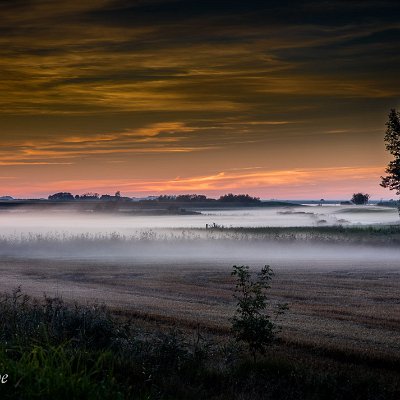 LR__33A1067-HDR-Edit Mist of the night creeping in...